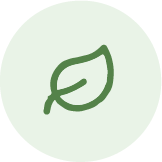 Nutrient dense foods icon