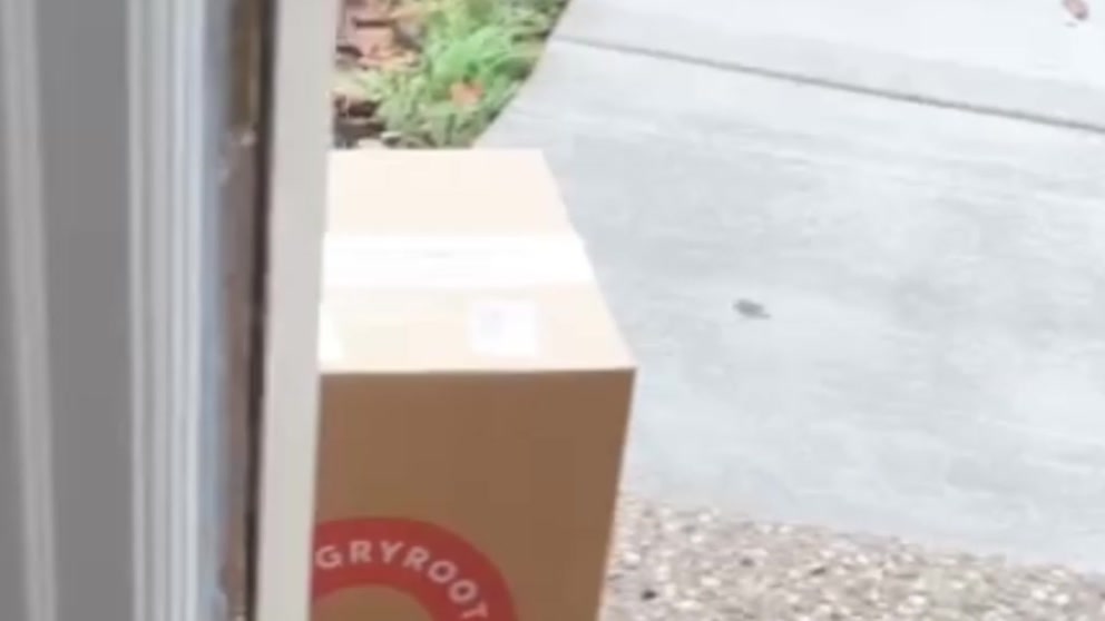 Everything you need to eat well, delivered